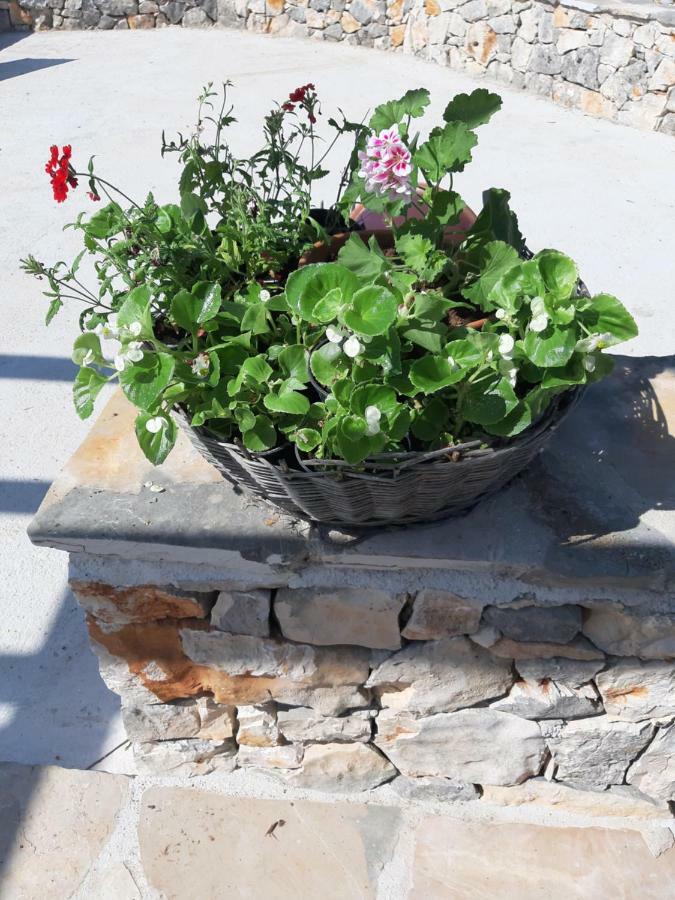 Peaceful Home Olea Oblica Primošten Exteriér fotografie
